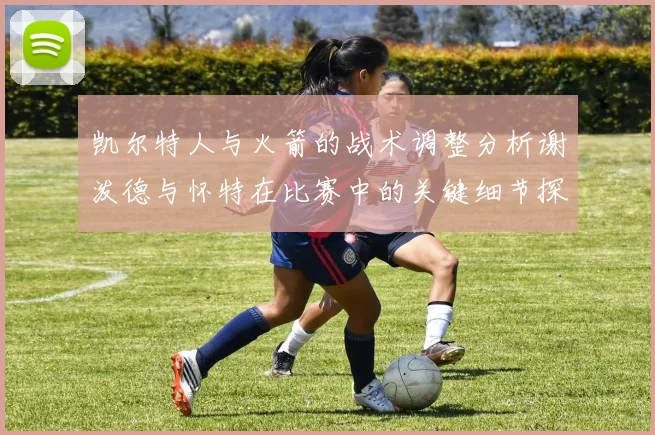 凯尔特人与火箭的战术调整分析谢泼德与怀特在比赛中的关键细节探讨