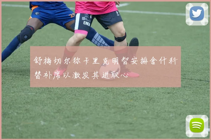 舒梅切尔称卡里克明智安排舍什科替补席以激发其进取心